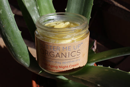 Anti Aging Night Cream Face Moisturizer Organic Green Tea