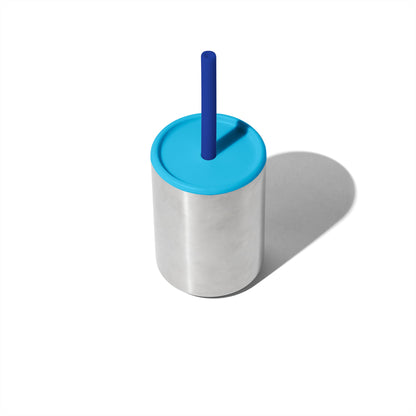 8 oz Medium Sippy Cup + Straw | Stainless Steel
