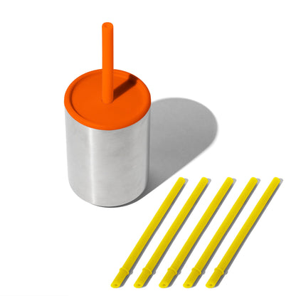 8 oz Medium Sippy Cup + Straw | Stainless Steel