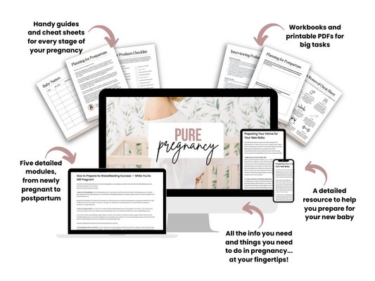 PURE Pregnancy: Holistic Pregnancy Guide and To Do List