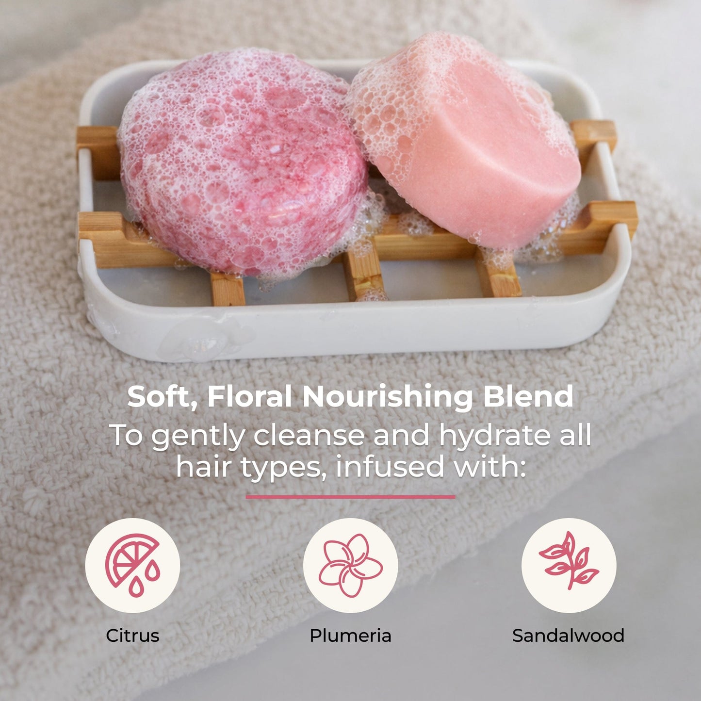 Shampoo & Conditioner Bar Duo