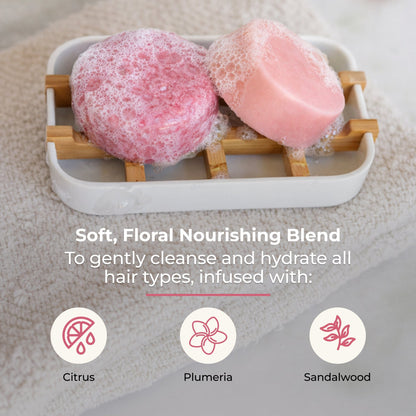 Shampoo & Conditioner Bar Duo