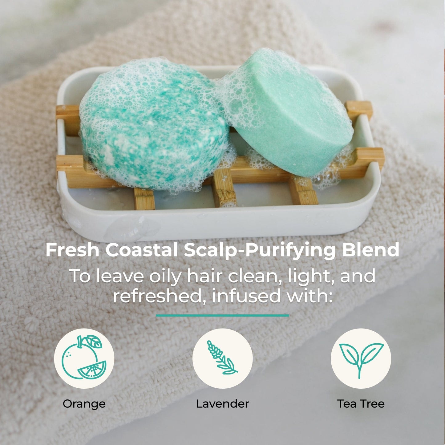 Shampoo & Conditioner Bar Duo