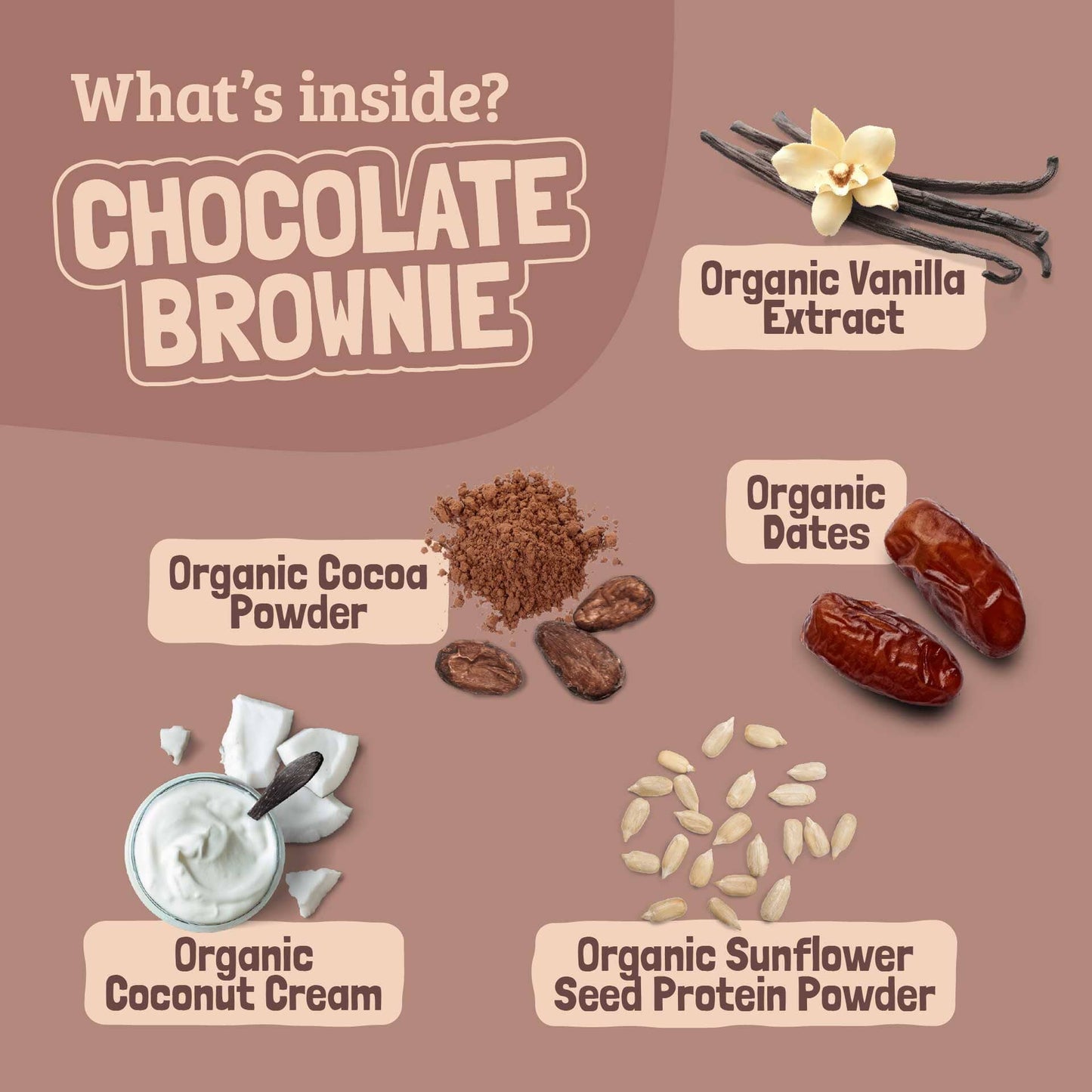 Skout Organic Chocolate Brownie Kids Bar