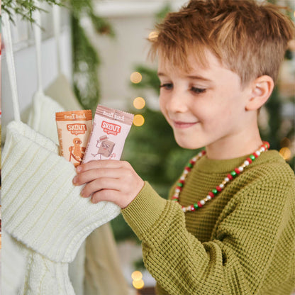 Skout Organic Small Batch Kids Bar Bundle