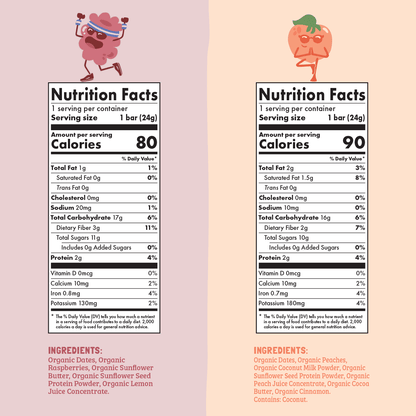 Skout Organic Small Batch Kids Fruit Bar Variety Pack