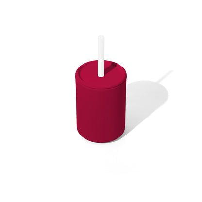 5 oz Small Sippy Cup + Straw |  Silicone
